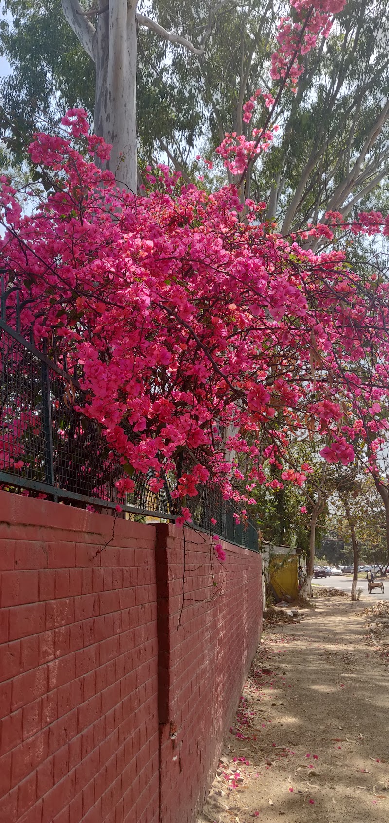 Sector 26 - Sector 26, Chandigarh, 160019, India