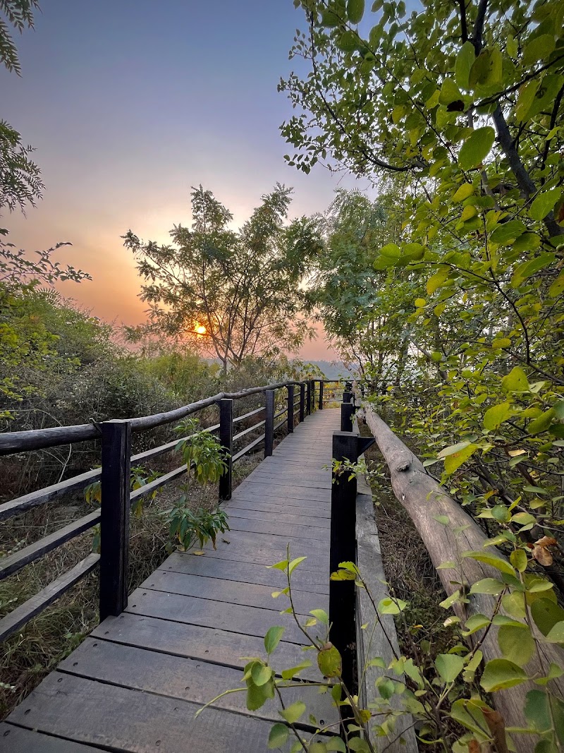 Aravali Biodiversity Park - Aravali Biodiversity Park F4J6+PJ4, Acharya Shree Tulsi Marg, DLF Phase 3, Sector 24, Gurugram, Haryana 122002, India