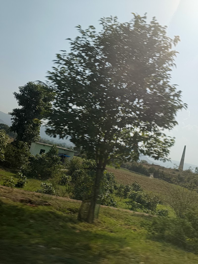 Netarhat valley - Netarhat valley C7FH+Q24, Ghaghra - Netarhat Rd, Langratanr, Jharkhand 835218, India