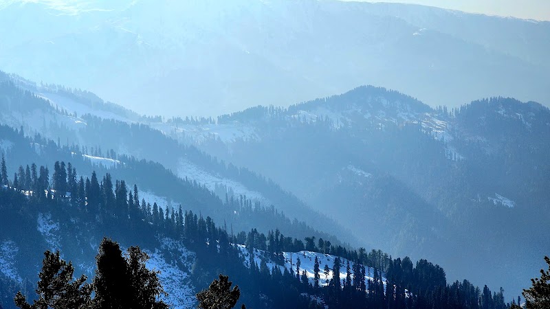 Kalatop Wildlife Sanctuary - Kalatop Wildlife Sanctuary H238+5X8, Kalatope R.F, Himachal Pradesh 176304, India