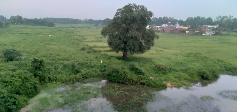 Ranchi Road railway station - Ranchi Road railway station, Ranchi Road, Ramgarh Cantonment, Jharkhand 829117, India