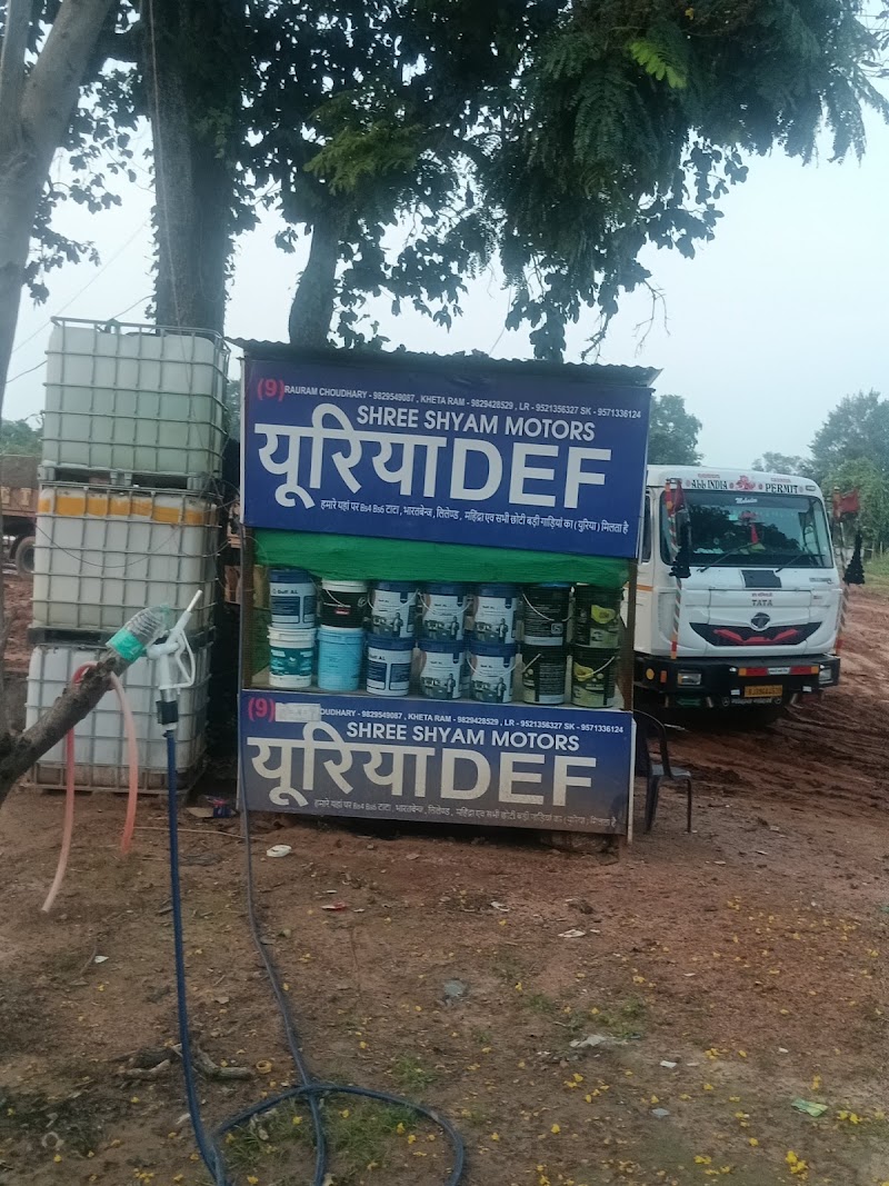 Baba Ramdev Rajasthani dhaba - Baba Ramdev Rajasthani dhaba, 67FX+GCJ, Torla, Chhattisgarh 493551, India