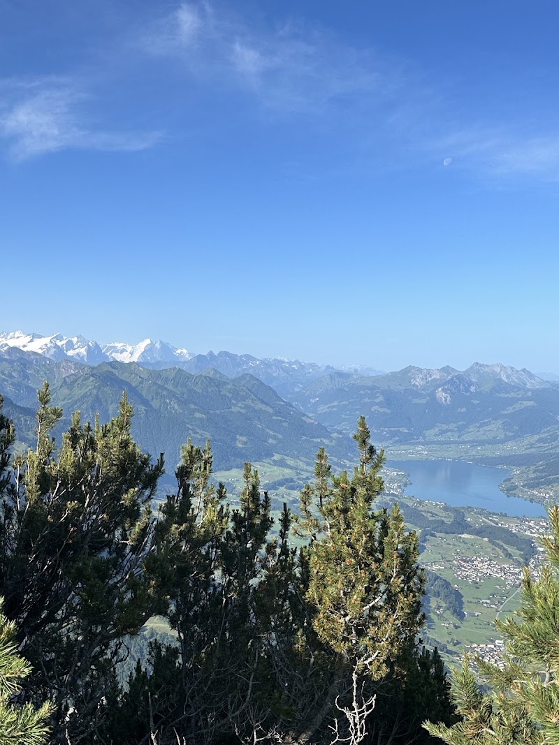 Adlerfluh (Eagle's Cliff) - Adlerfluh (Eagle's Cliff) Stansstaderstrasse 19, 6370 Stans, Switzerland