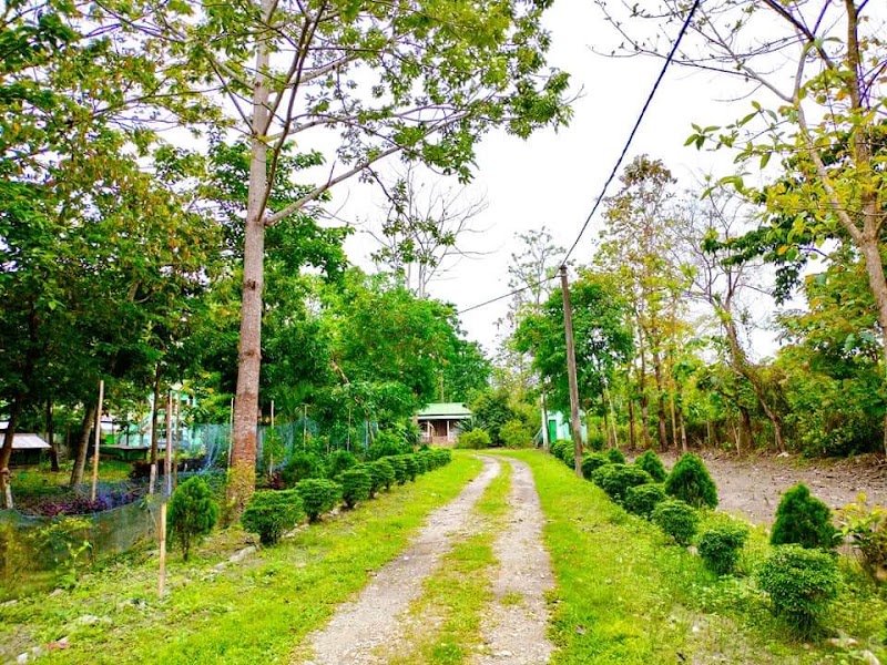 Dooars - Dooars, dhupjhora, batabari, jalpaiguri dooars, RQJV+3MR, Batabari, West Bengal 735206, India
