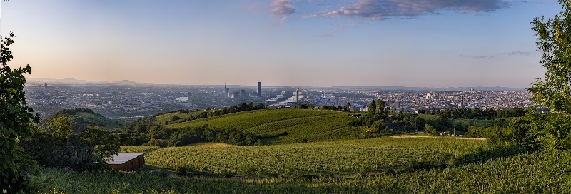 Weingut Wailand - Weingut Wailand, Kahlenberger Str. 220, 1190 Wien, Austria