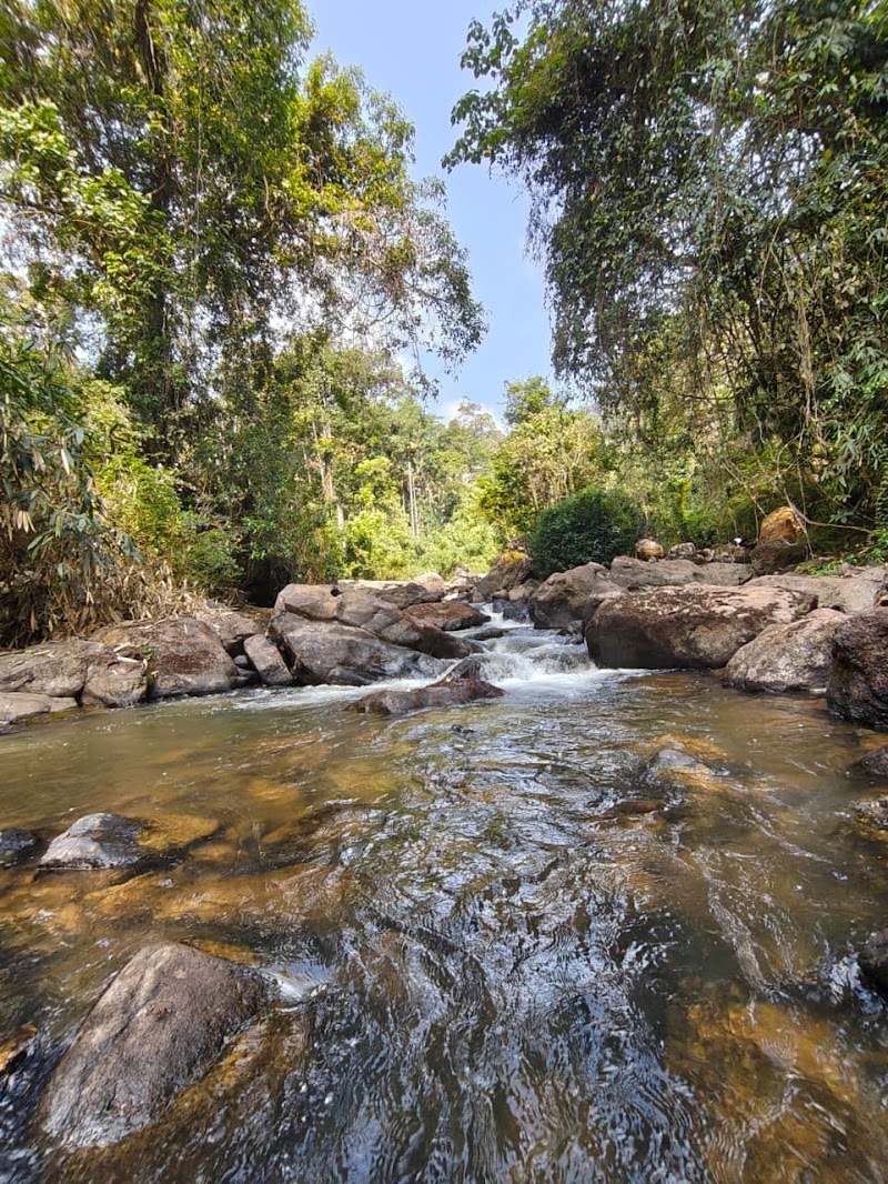 River wood cottages - River wood cottages Kallar Vattiyar, Kerala 685565, India