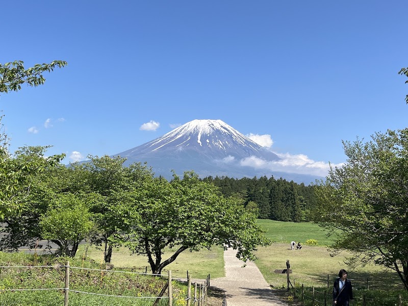 Road Station Asagiri Kogen - Road Station Asagiri Kogen 492-14 Nebara, Fujinomiya, Shizuoka 418-0101, Japan