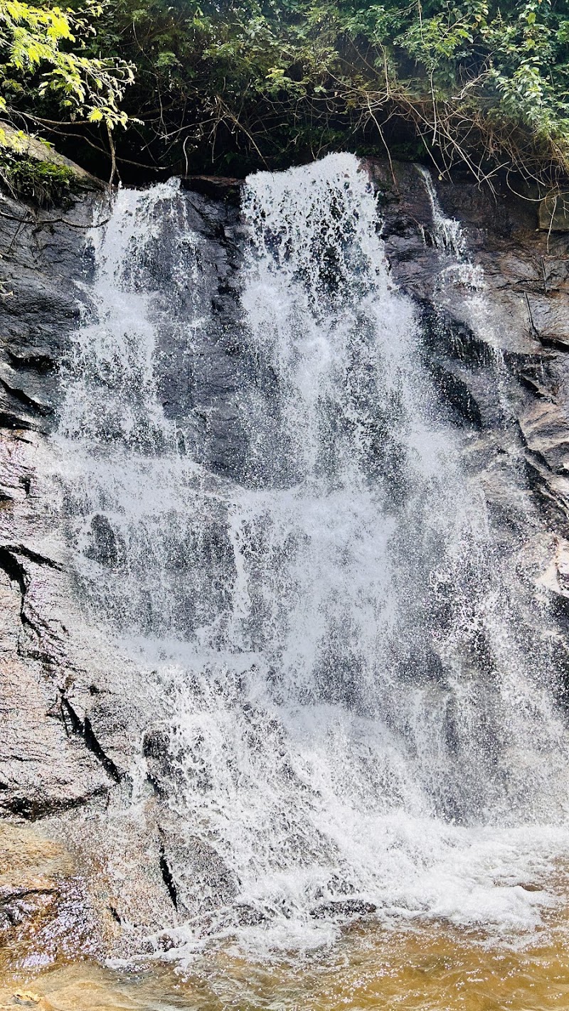 Waterfalls - Waterfalls 33Q5+HRC, Nullatanni, Munnar, Keralam 685612, India