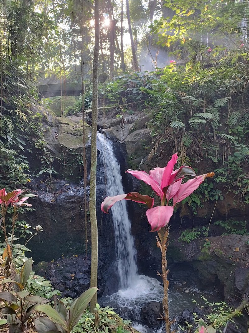 Goa Gajah - Goa Gajah Bedulu, Blahbatuh, Gianyar Regency, Bali, Indonesia