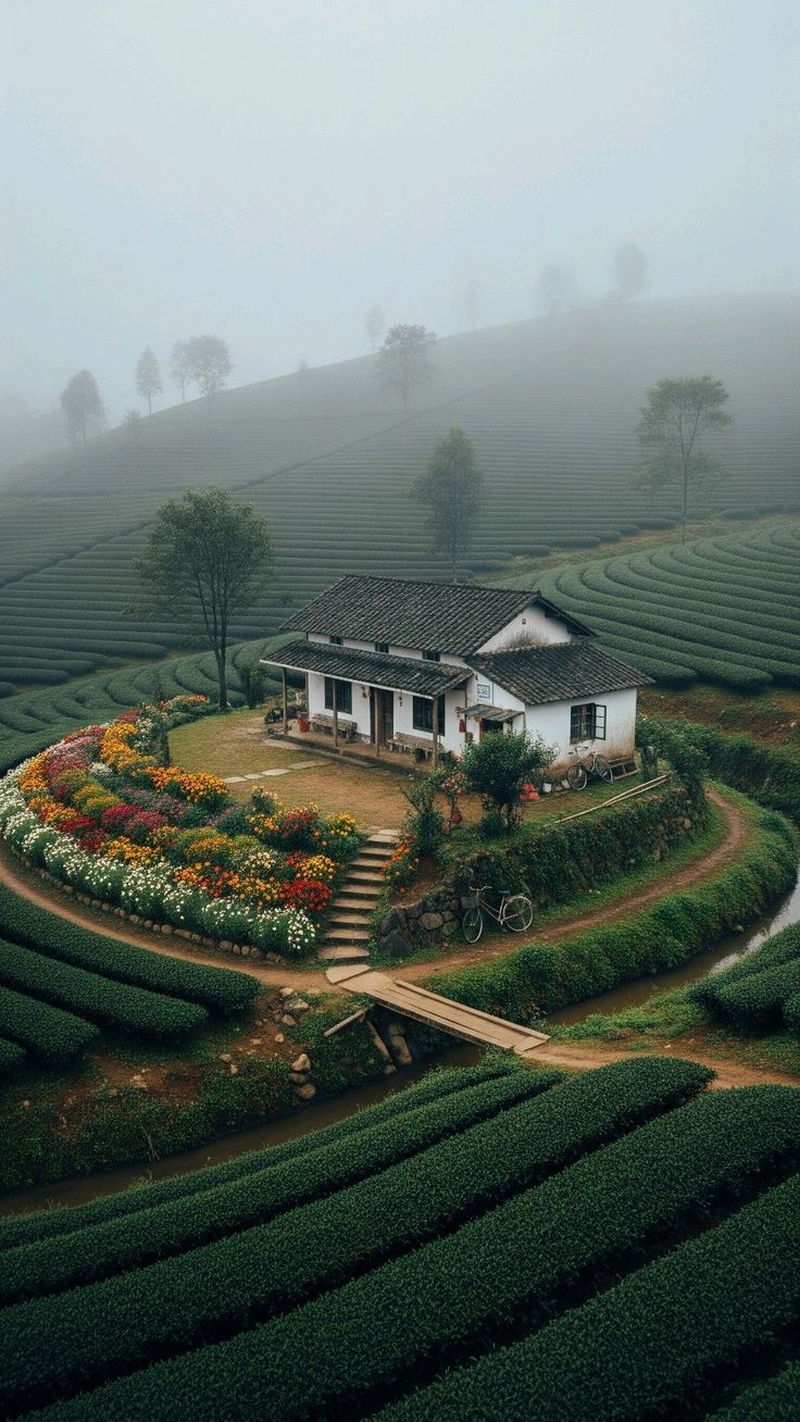 Kerala Tour Package - Kerala Tour Package, B- block, Virendar Nagar, Block B, Sant Nagar, Burari, New Delhi, Delhi, 110084, India
