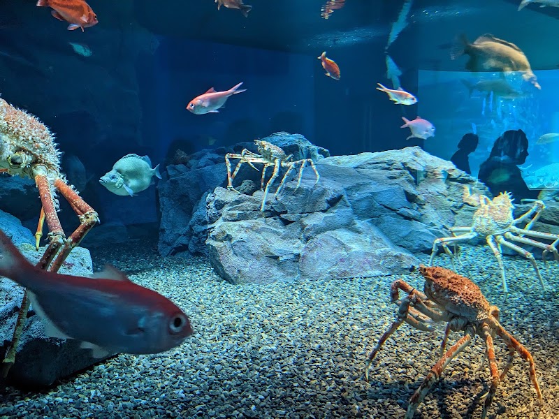 Osaka Aquarium Kaiyukan - Osaka Aquarium Kaiyukan 1-chōme-1-10 Kaigandōri, Minato Ward, Osaka, 552-0022, Japan