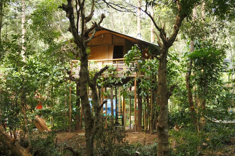 Deep Jungle Home - Deep Jungle Home Molapalli Village, After Bagavthi Amman Temple Bandipur Panchayath, Off Thorapalli, Gudalur, Mudumalai, Tamil Nadu 643211, India