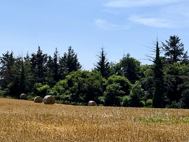 GR 34 Tréveneuc - Sentier des Douaniers - GR 34 Tréveneuc - Sentier des Douaniers, M48X+WP, Tréveneuc, France