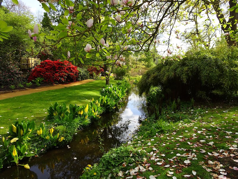The Savill Garden - The Savill Garden, Wick Ln, Englefield Green, Egham TW20 0UJ, UK