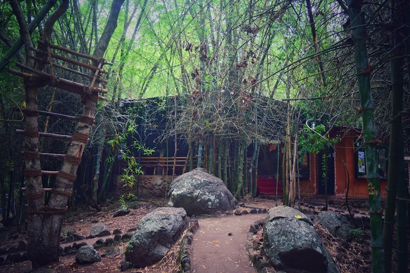 Glen View Jungle Resort - Glen View Jungle Resort, Bokkapuram, Masinagudi, Sholur, Tamil Nadu 643223, India