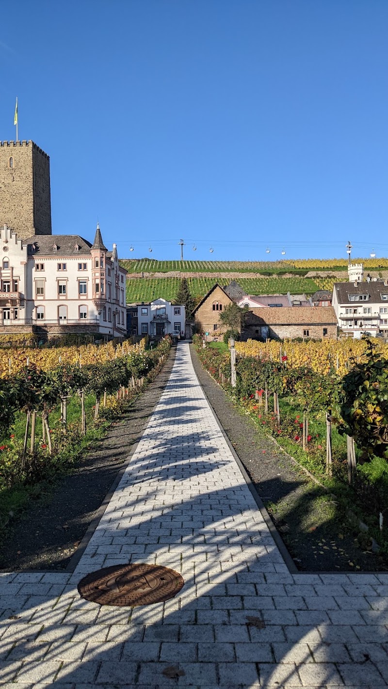 Rüdesheim am Rhein - Rüdesheim am Rhein, 65385 Rüdesheim am Rhein, Germany