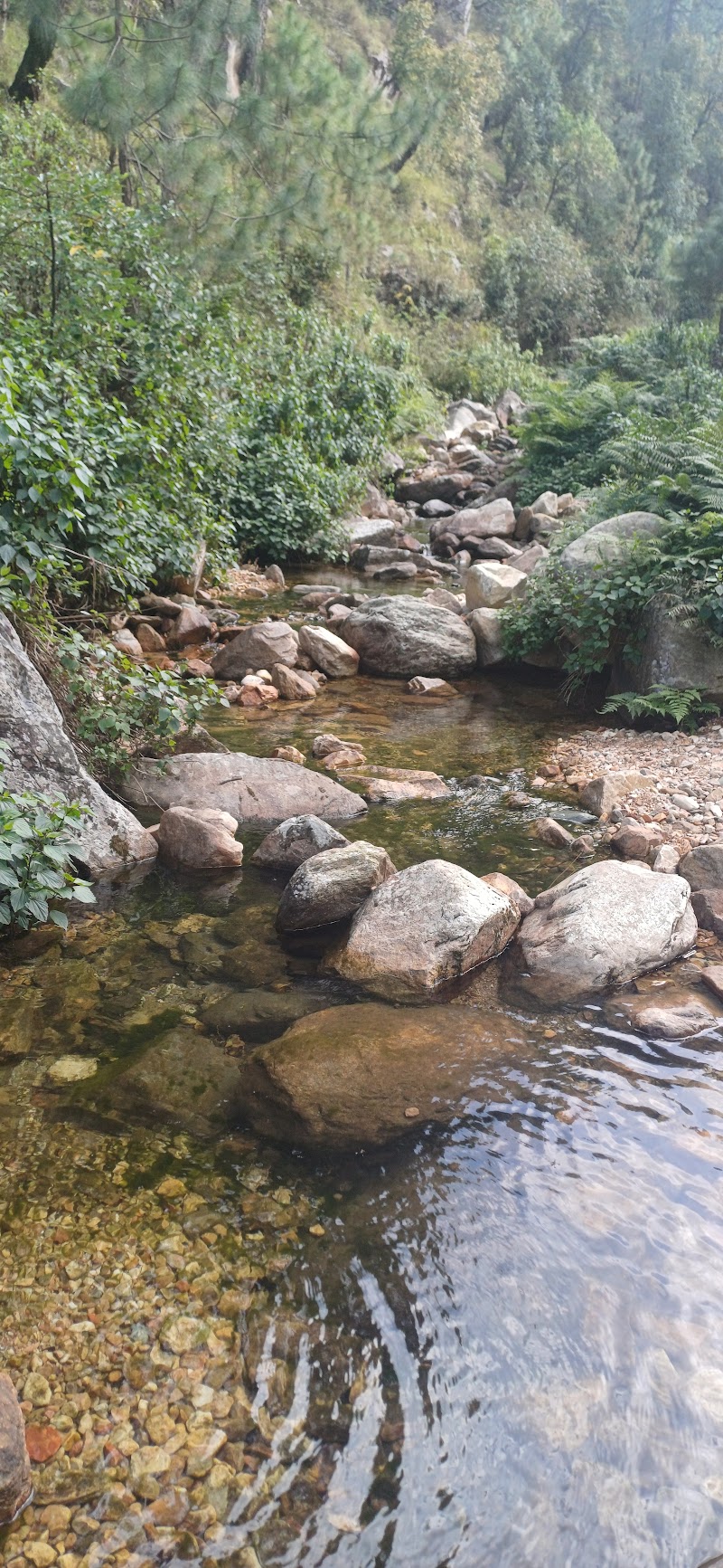 Rudradhari Waterfall - Rudradhari Waterfall RHX4+R95, Kantali, Someshwar Range, Uttarakhand 263639, India