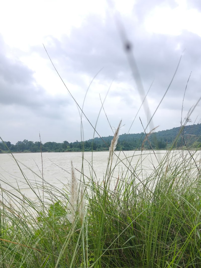 Tikamuda Kata - Tikamuda Kata, 9576+F4J, Nuabarangamal, Odisha 768112, India