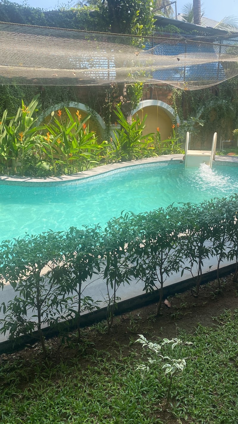 Marigold - Marigold, Mattancherry, PJ Job road, Fort Kochi, Kochi, Kerala 682002, India