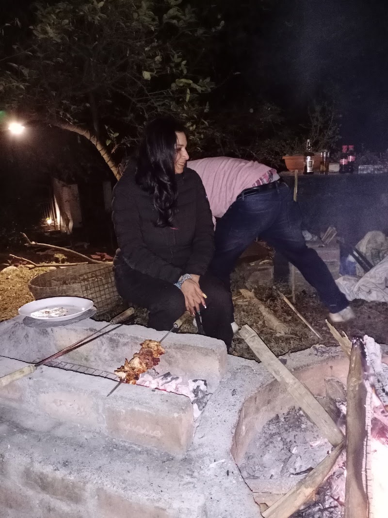 The owls nest - The owls nest 59G7+JJM, Unnamed Road, Tapovan, Braih, Rasan, Himachal Pradesh 176215, India