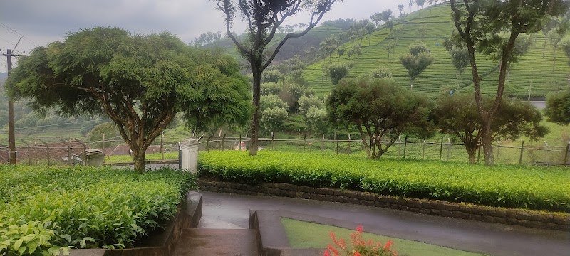 Kairbetta Estates Syndicate - Kairbetta Estates Syndicate, Off NH 15, Kotagiri, Nilgiris, Kotagiri, Tamil Nadu 643217, India