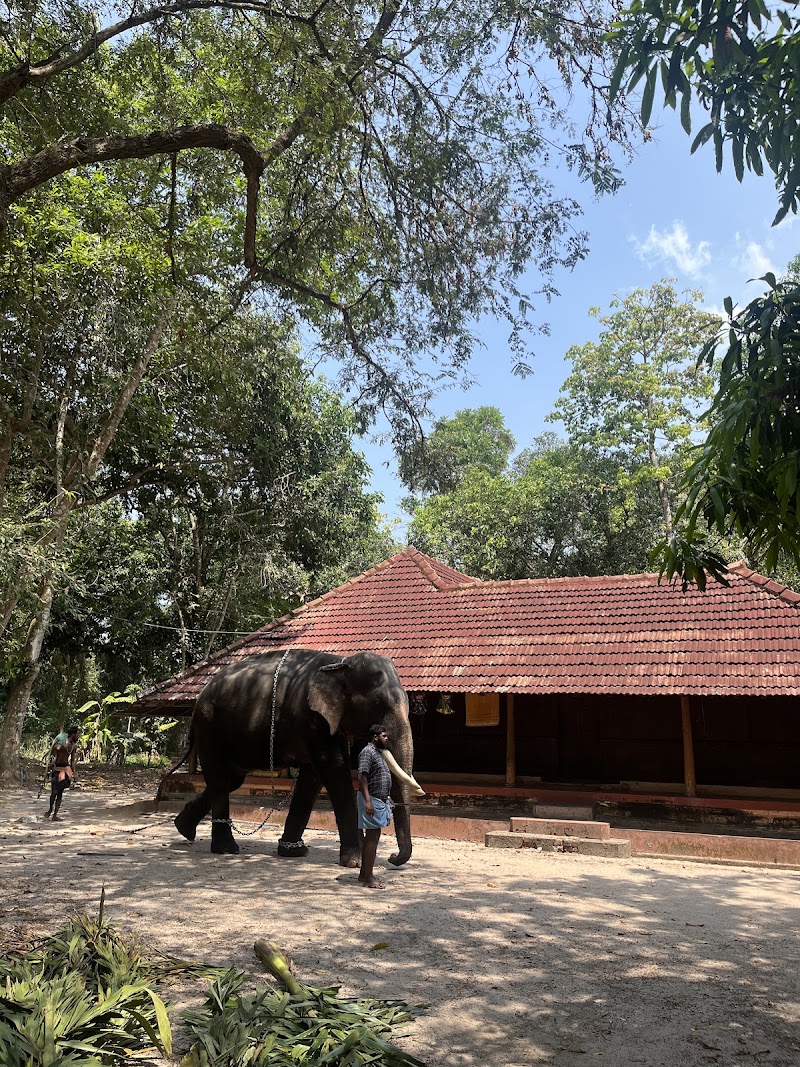 Elephant safari Alleppey - Elephant safari Alleppey H878+RJM, Alappuzha, Keralam 688522, India