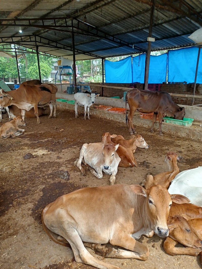 P R Goshala - P R Goshala, Goshala chowk, PF4J+6J9, near BED collage, Balangir, Odisha 767001, India