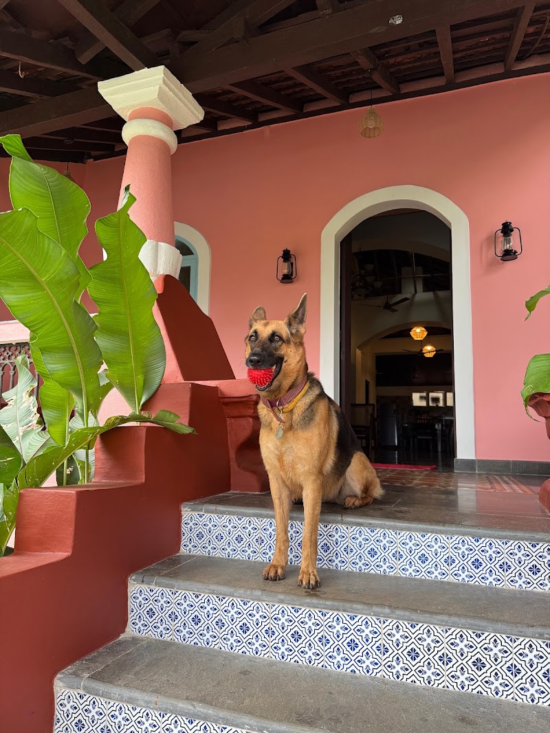 The Village Casa - The Village Casa, HVFH+F25, Carona Village, Aldona, Goa 403523, India