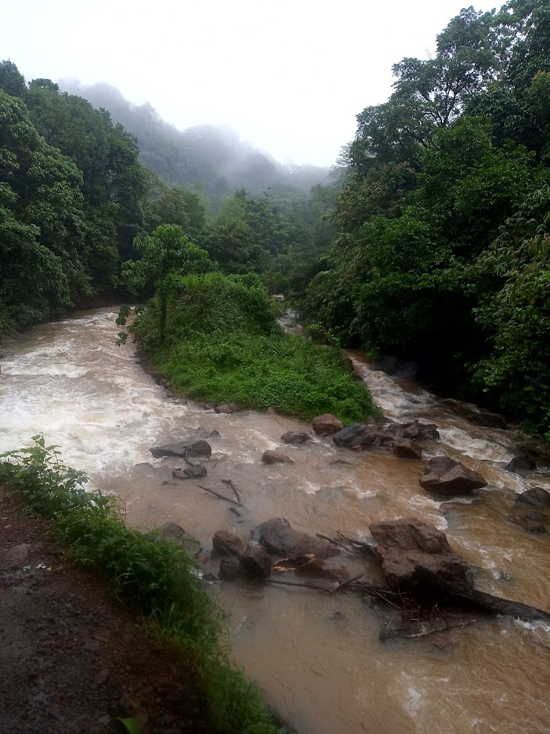 Kaithapathal View Point - Kaithapathal View Point MWV2+755, Vagamon, Keralam 685503, India