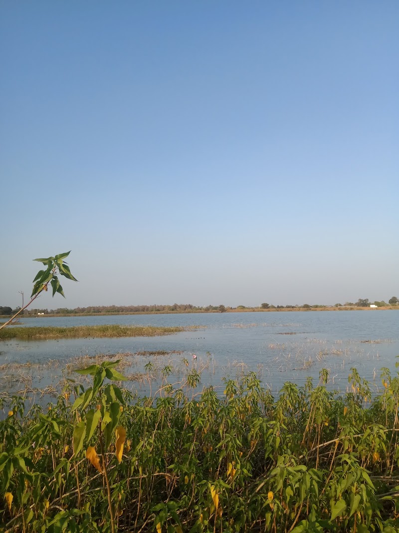 सिंग बांधा तारों (SING BANDHA TARO) - सिंग बांधा तारों (SING BANDHA TARO), X5PM+88M, Taro, Chhattisgarh 491995, India