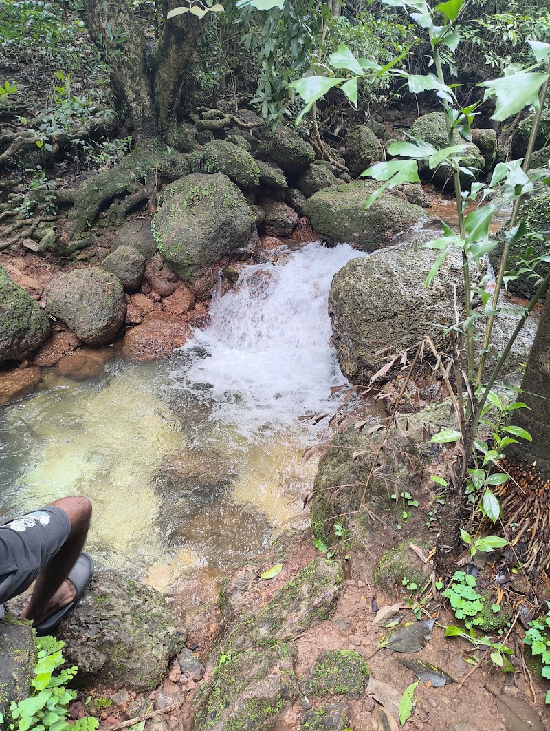 Sweet Water Sanctuary - Sweet Water Sanctuary, PM2X+3W, Arambol, Goa 403524, India
