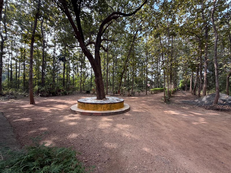Woods Heaven Nagzira - Woods Heaven Nagzira Chorkhamara, Maharashtra 441911, India