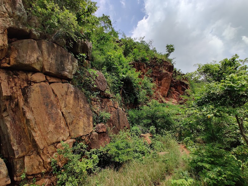 Gandhamardana Hill - Gandhamardana Hill Gandhamardana Hill, Odisha, India