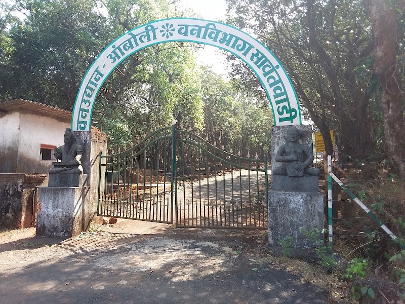 Amboli Forest Park Maharashtra