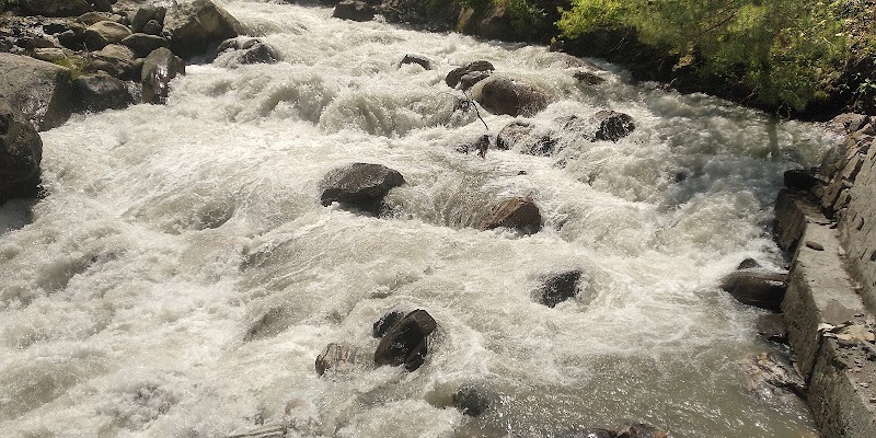 Pangi - Pangi, Himachal Pradesh 176323, India
