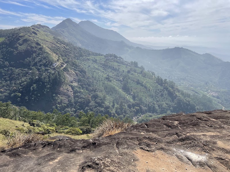 Munnar Info - Meeting point - Munnar Info - Meeting point, Moolakadai, Munnar, Kerala 685612, India