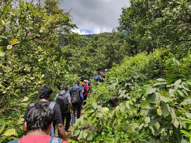 Hivrem Waterfall - Hivrem Waterfall, J4WX+HQ6, Ivre Khurd, Goa 403506, India