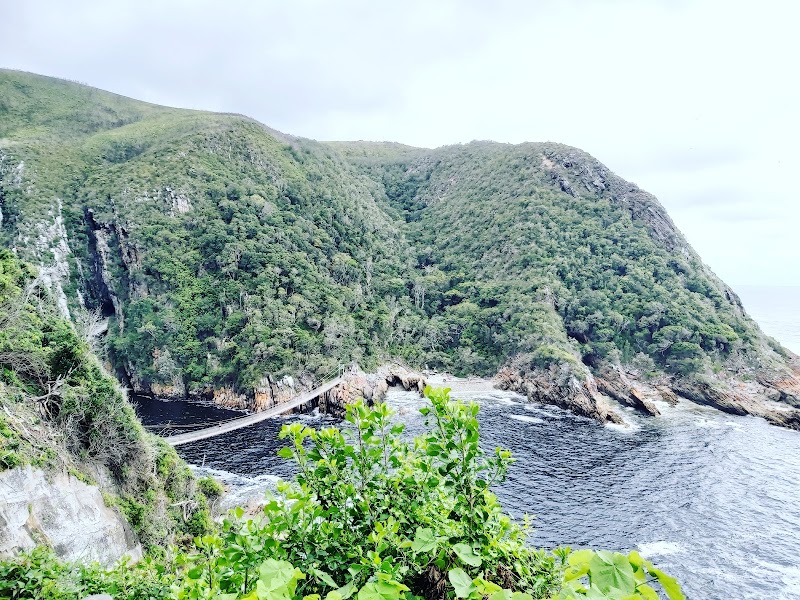 Tsitsikamma - Tsitsikamma, South Africa