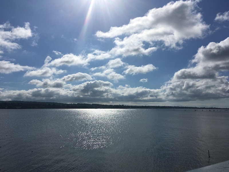 River Exe - River Exe, United Kingdom