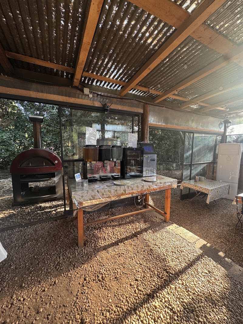 Rome Pasta and Pizza School - Cooking classes in Rome in english - Pasta Making Pizza Making - Rome Pasta and Pizza School - Cooking classes in Rome in english - Pasta Making Pizza Making, Via di Parione, 17, 00196 Roma RM, Italy
