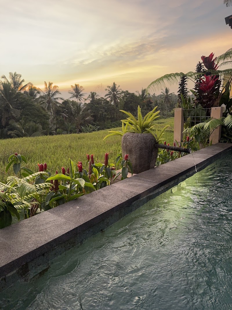 Arira Villa Ubud - Arira Villa Ubud, G7F5+FFH, Jl. Raya Sebali, Keliki, Kec. Tegallalang, Kabupaten Gianyar, Bali 80571, Indonesia