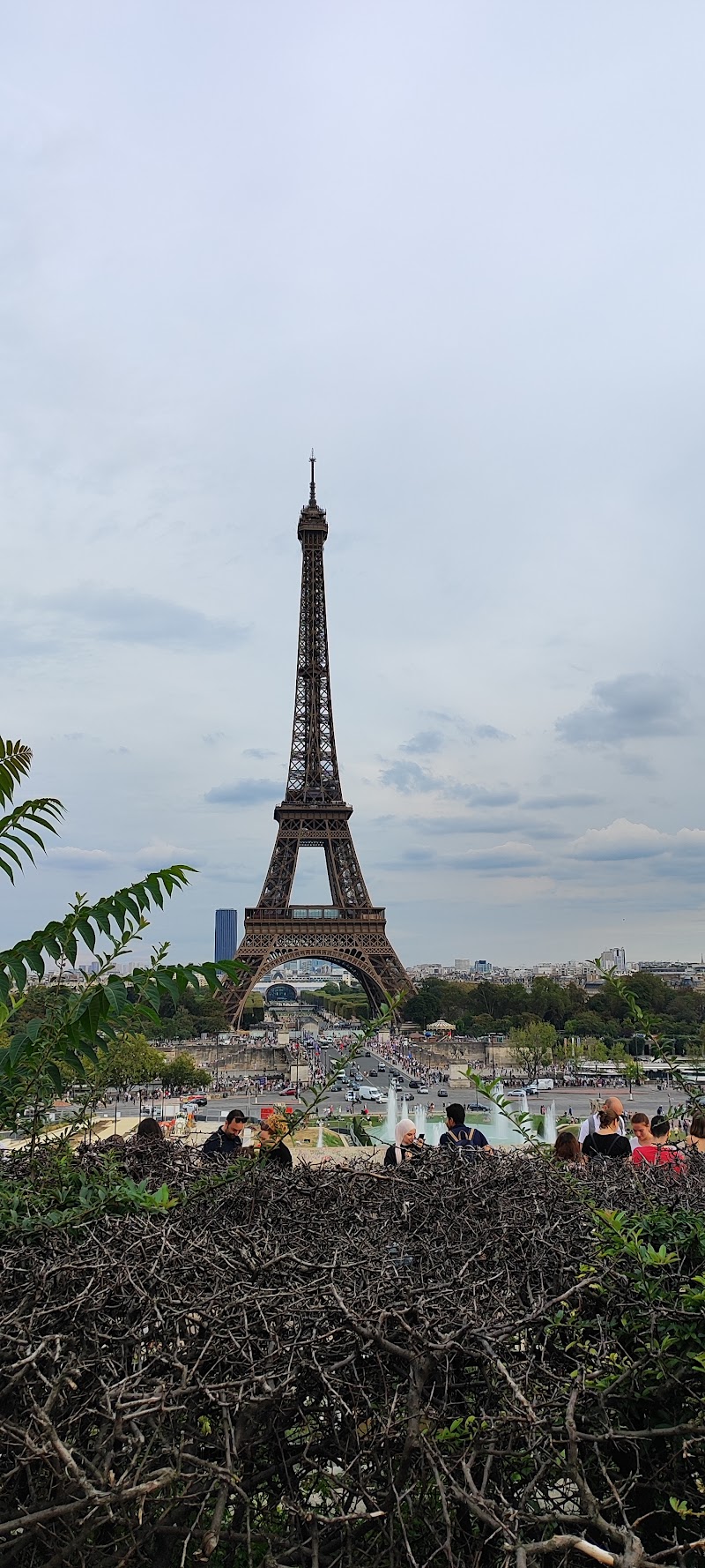 Champ de Mars - Champ de Mars 75007 Paris, France