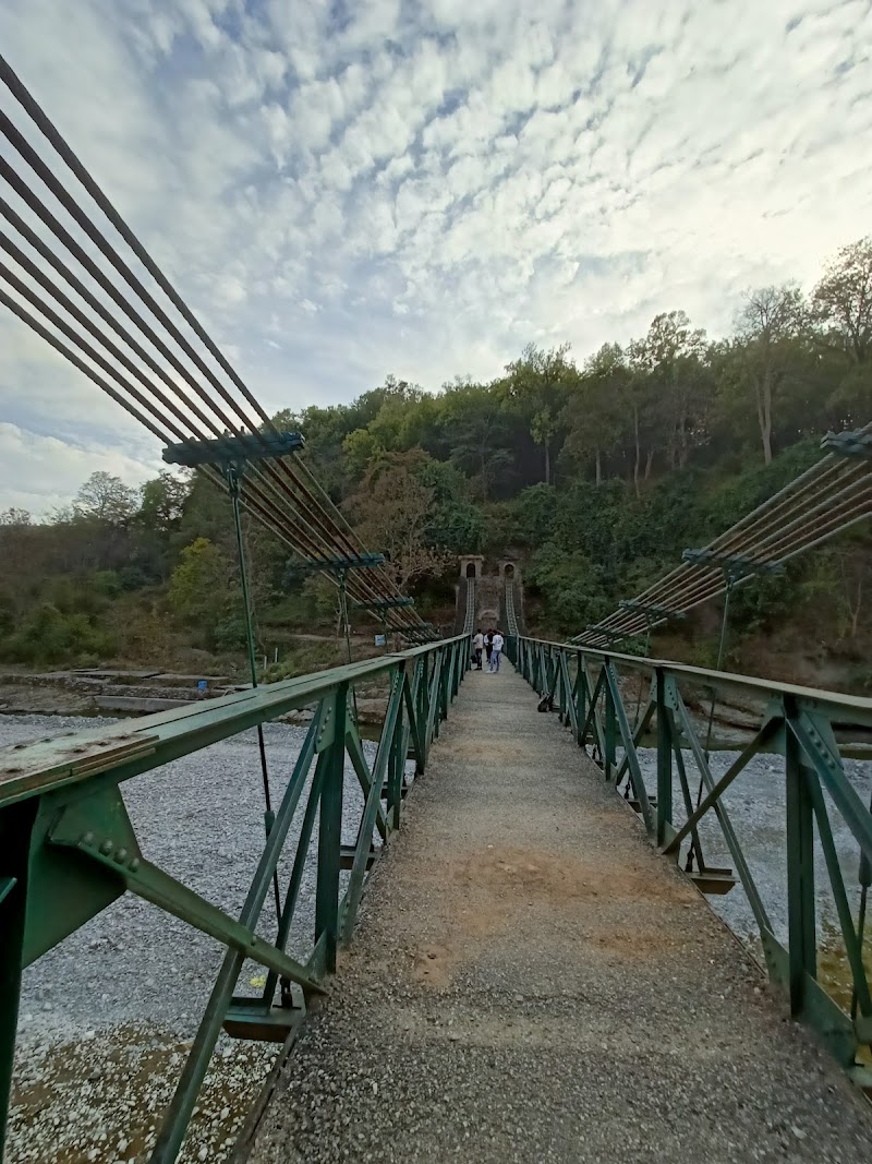 corbett jungle safari advisor - corbett jungle safari advisor telipura road, Jassaganja, Ramnagar, Shivlalpur Khazanchi, Uttarakhand 244715, India