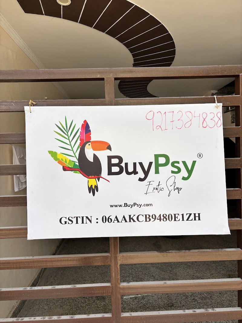 Custom Tshirt Print | BuyPsy Pvt Ltd - Custom Tshirt Print | BuyPsy Pvt Ltd F-239, F Block Rd, Sushant Lok III, Sector 57, Gurugram, Haryana 122011, India