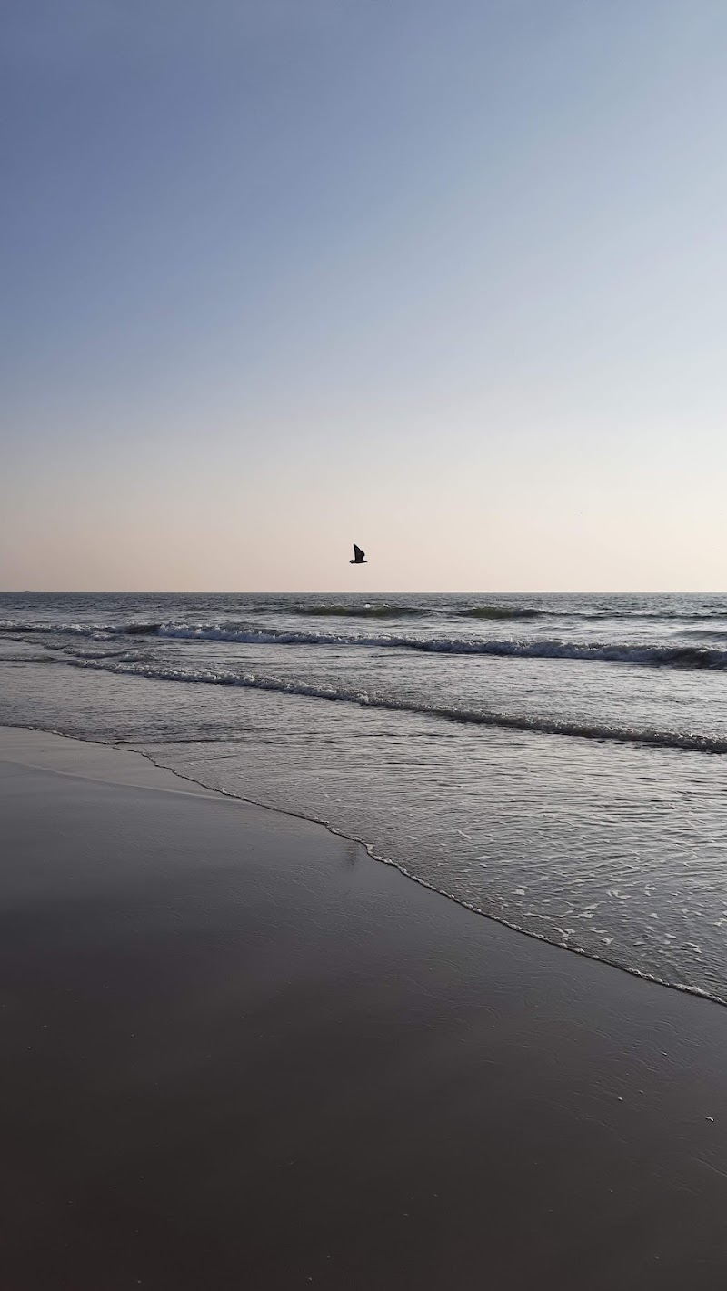 Betalbatim Beach - Betalbatim Beach Betalbatim Beach, Goa, India
