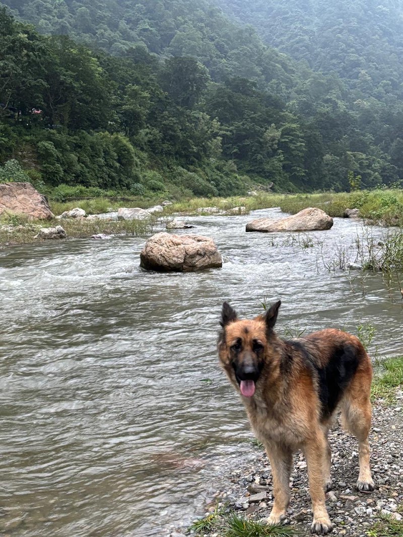 The Ayali Riverside Resort By Alivaa - The Ayali Riverside Resort By Alivaa, Neelkanth Temple Rd, Ghattu Ghat, Taliyal Gaon, Uttarakhand 249201, India