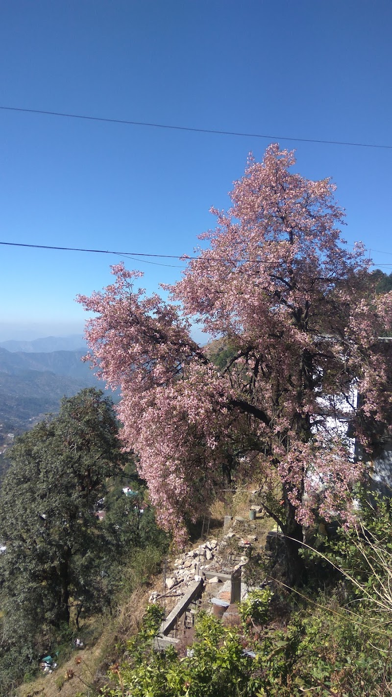 Mukteshwar - Mukteshwar Mukteshwar, Uttarakhand, India