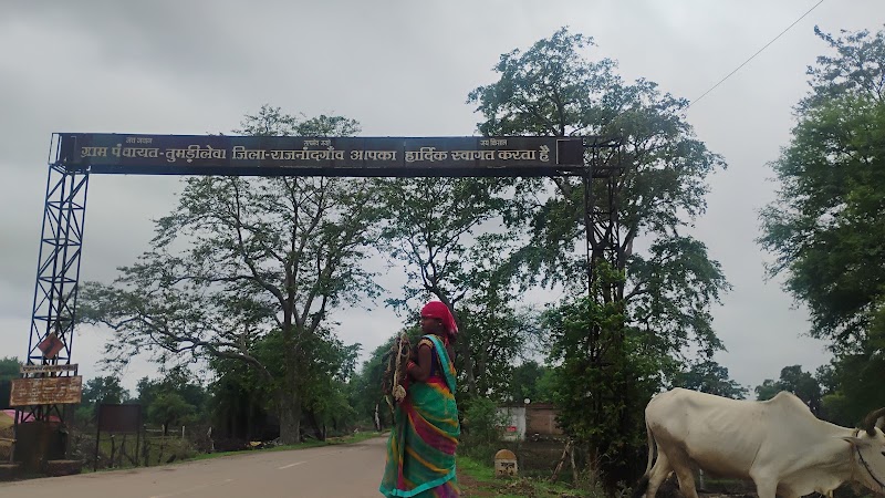 Pravesh dwar tumdilewa - Pravesh dwar tumdilewa, 5474+FHX, Parewadeeh, Tumdi Lewa, Chhattisgarh 491443, India