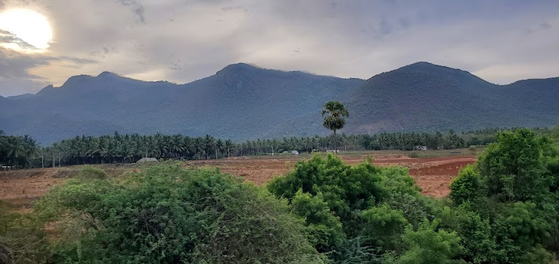 Kerala Tourism Information - Kerala Tourism Information, Kumaranellur, Kerala 679552, India