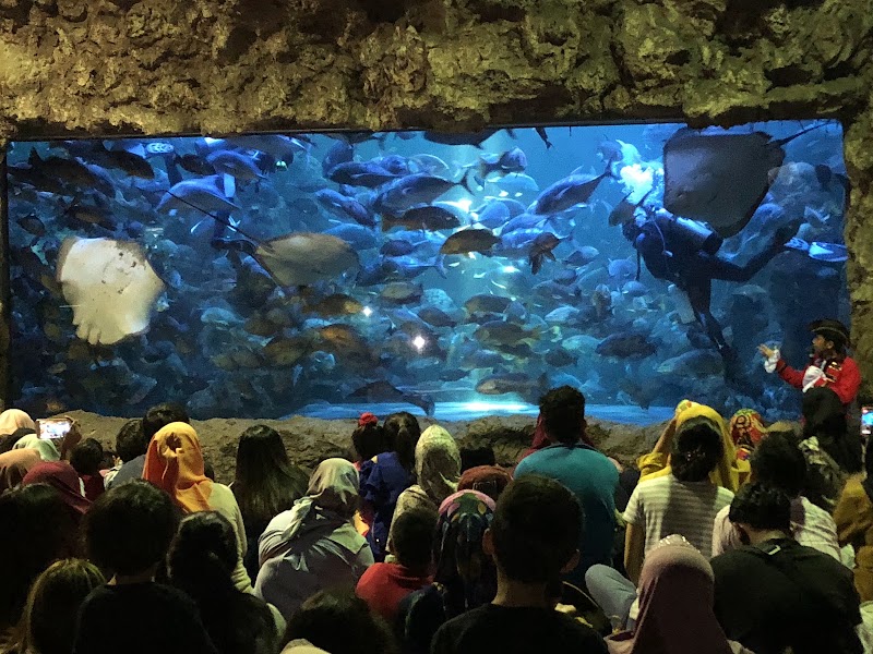 Sea World Ancol